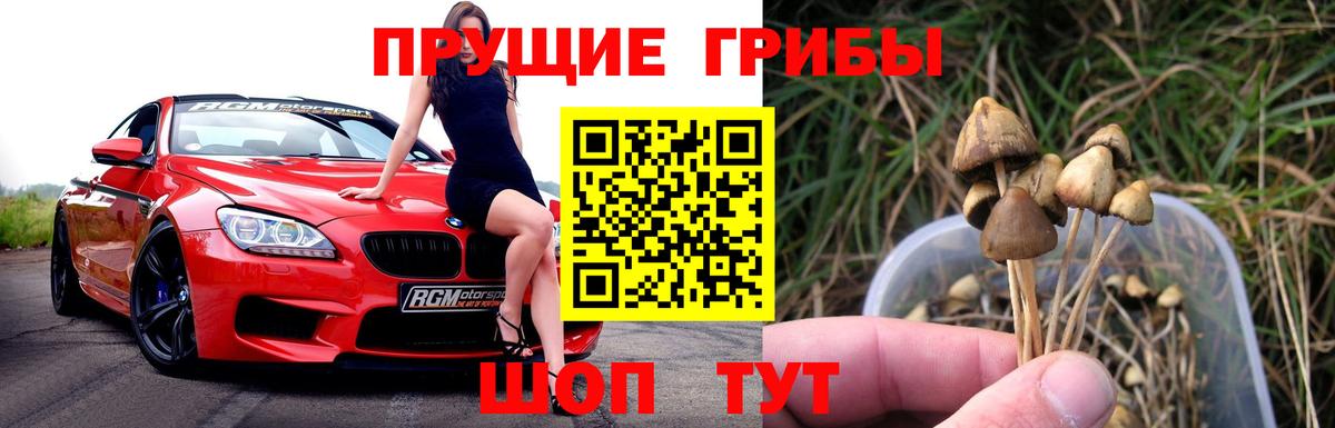 Псилоцибиновые грибы ЛСД Мончегорск