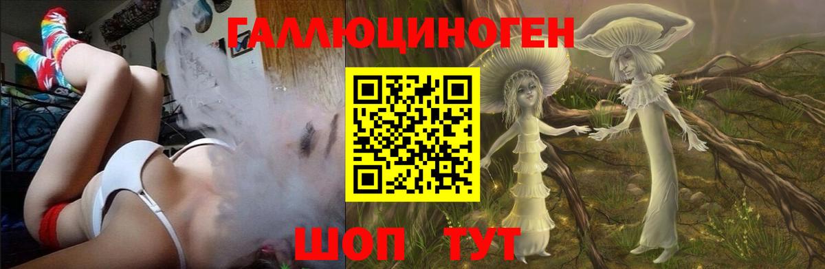 Мончегорск  Галлюциногенные грибы Psilocybe  Галлюциногенные грибы прущие грибы  Вход с VPN 